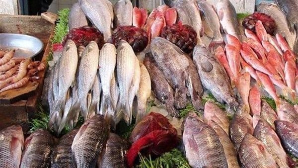 أسعار الأسماك اليوم الجمعة 16 مايو 2025 والمأكولات البحرية| إلحقي خزني