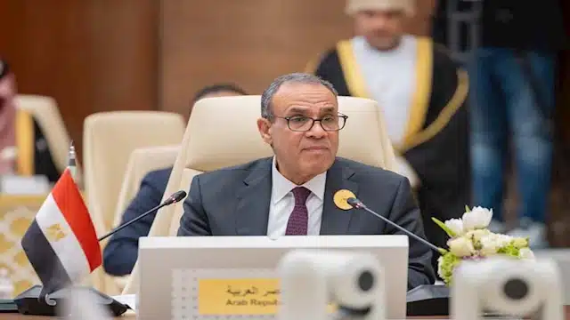 بدر عبد العاطي وزير الخارجية