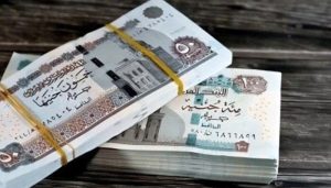 مرتبات شهر نوفمبر 2025